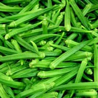 Fresh Okra